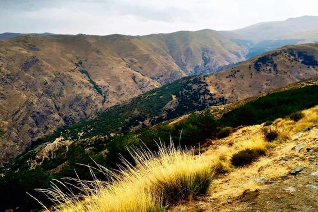 Telecabina Catifas Guejar Sierra